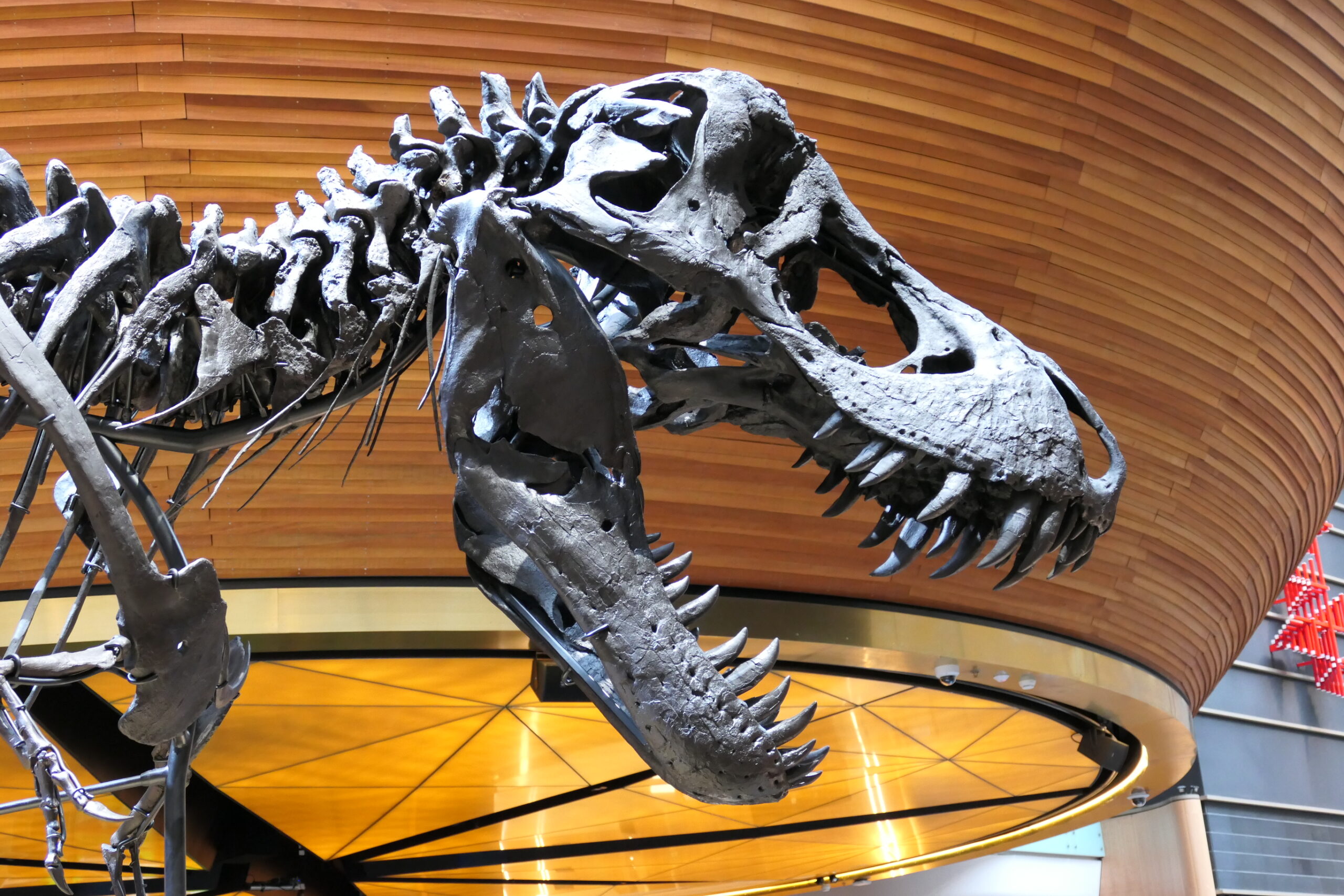 New Zealand museums need neutral organisational viewpoints and stronger science